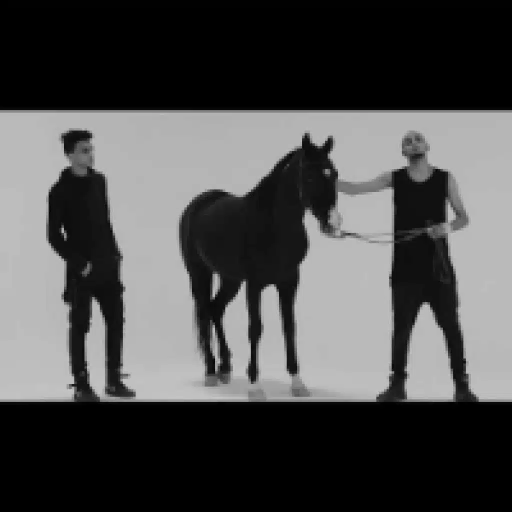 مهرجان اصل و صورة