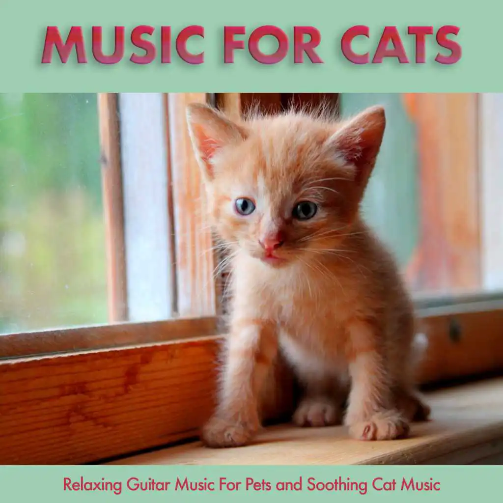 Soft Music For Cats