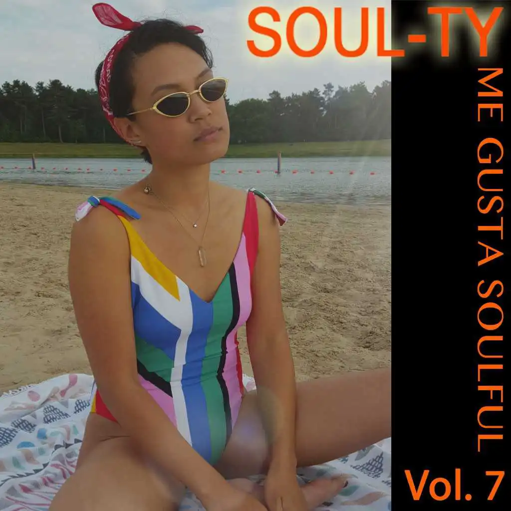 Me Gusta Soulful, Vol. 7