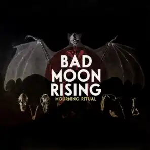 Bad Moon Rising (Cover) [feat. Peter Dreimanis]