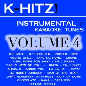Instrumental / Karaoke Tunes, Vol. 4