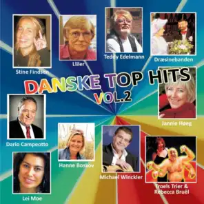 Danske Top Hits Vol. 2