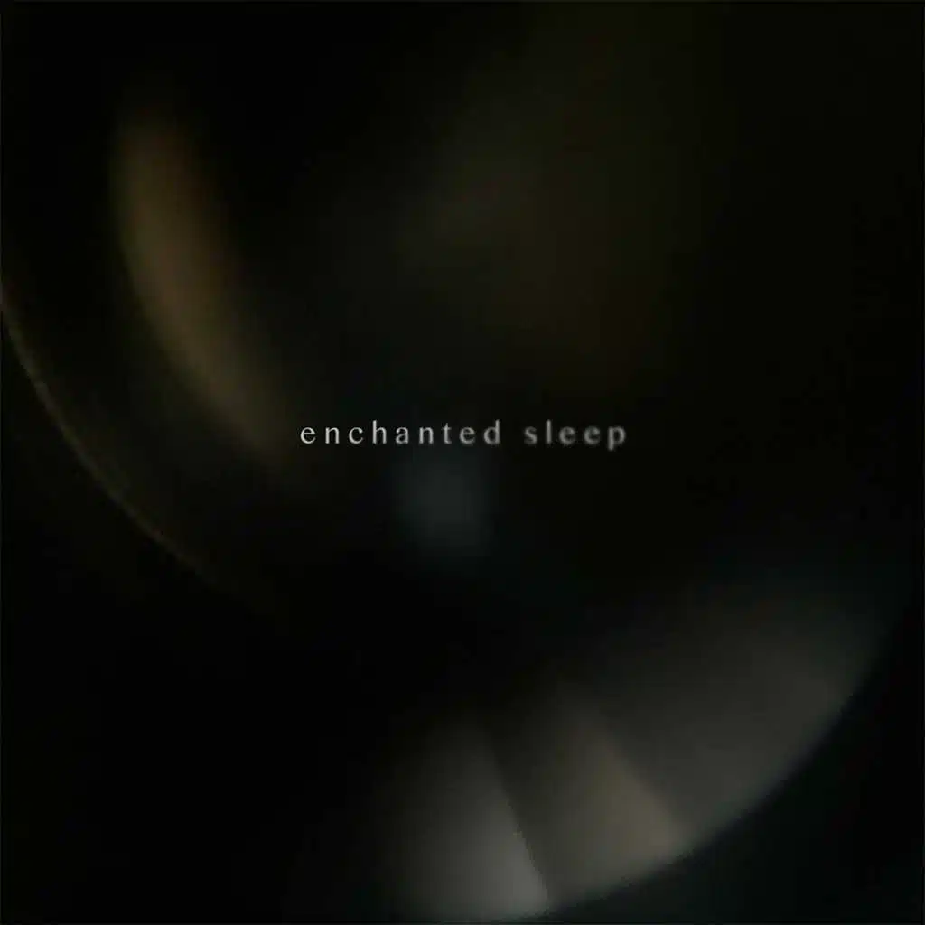 Enchanted Sleep