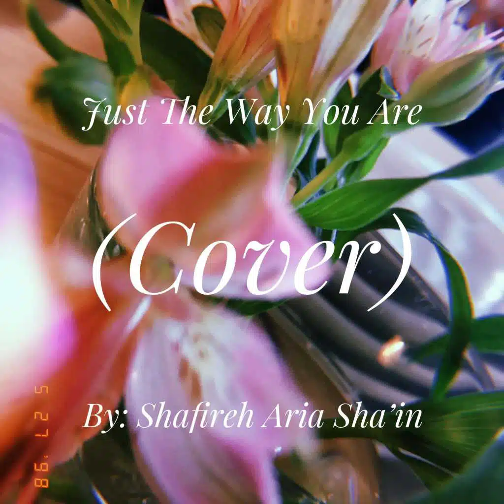 Just the Way You Are