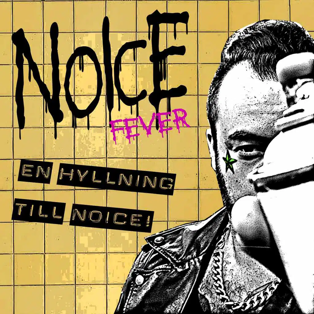 En hyllning till Noice