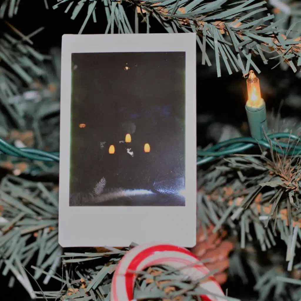 The McFeely Sessions