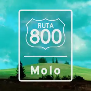 Ruta 800