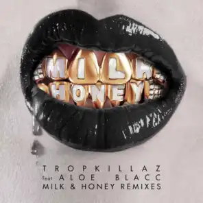 Milk & Honey (DJ Cruz Remix)