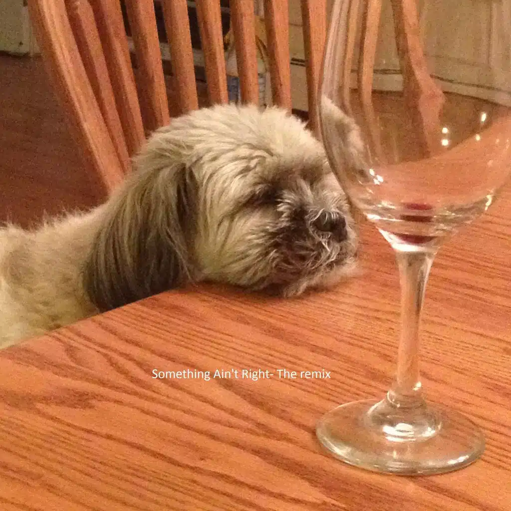 Something Ain't Right (Remixed)