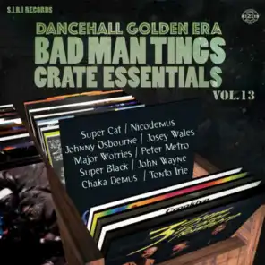 Dancehall Golden Era, Vol. 13 (Badman Tings)