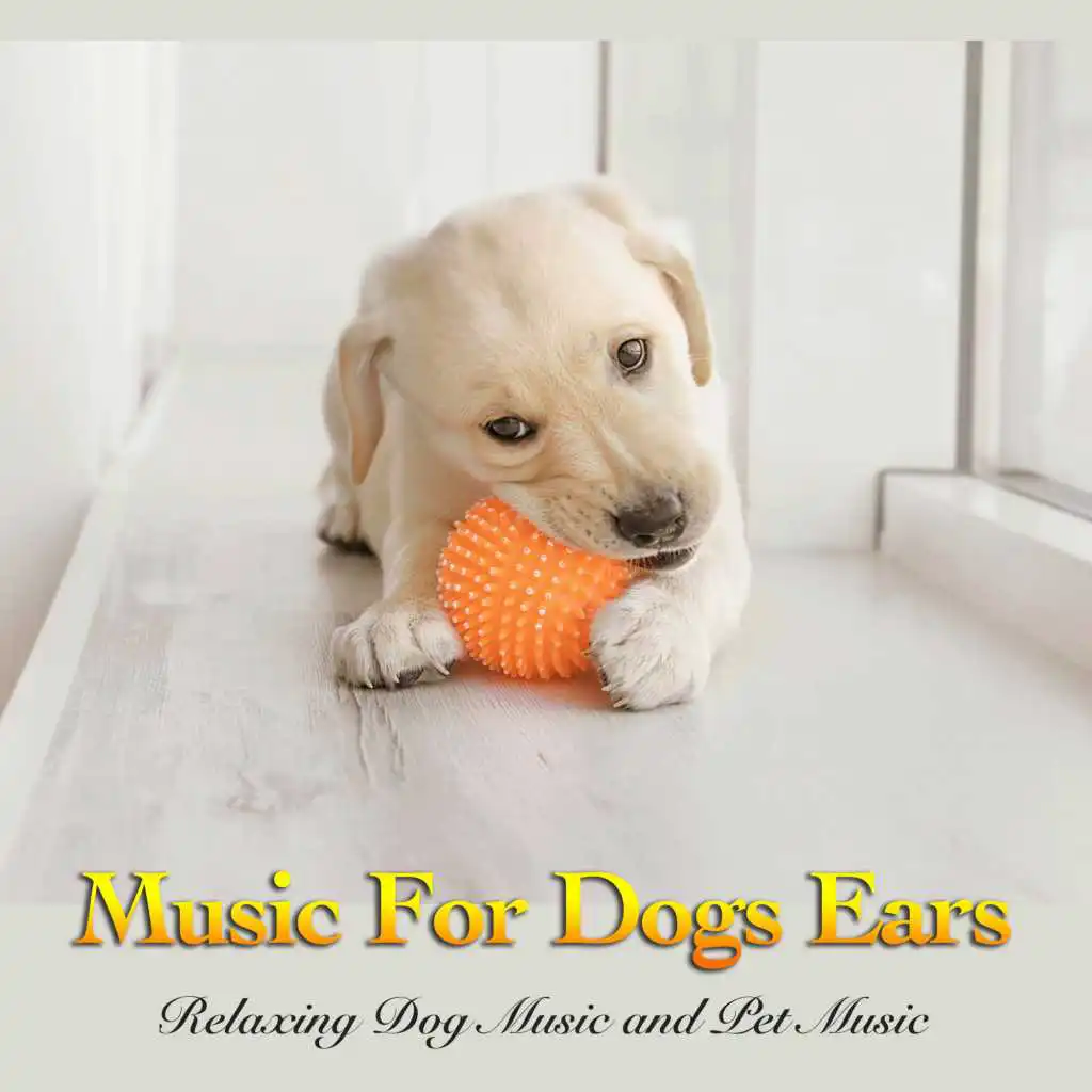 Music For Dogs Ears: Relaxing Dog Music and Pet Music