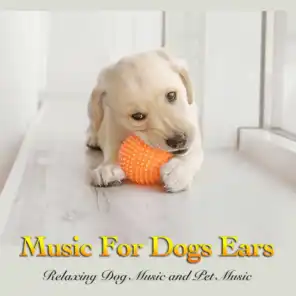 Dog Music, Dog Music Experience, Music For Dog's Ears