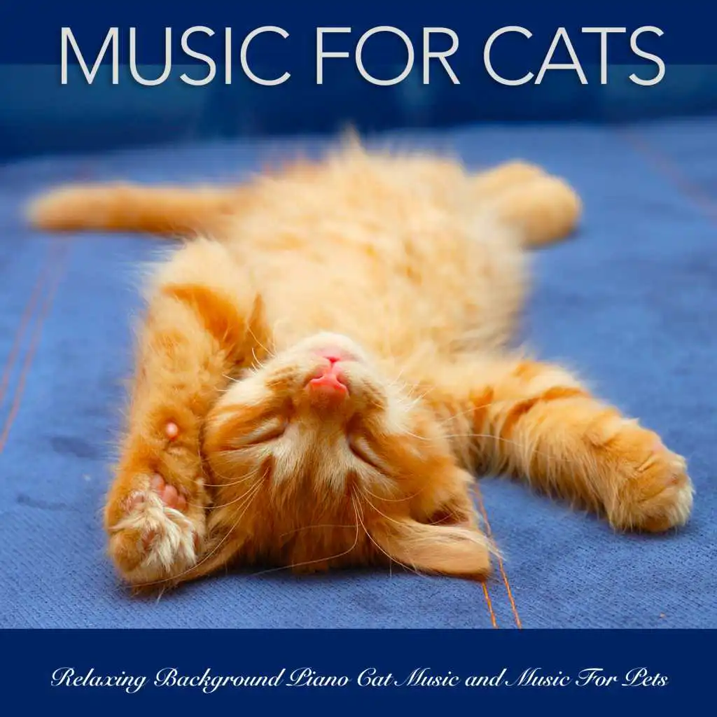 Music For Cats: Relaxing Background Piano Cat Music and Music For Pets