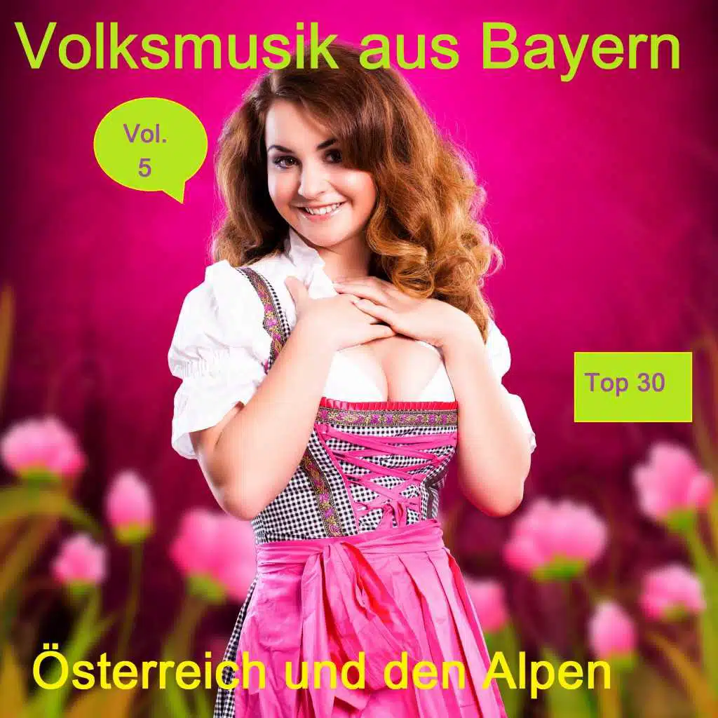 Top 30: Volksmusik aus Bayern, Österreich und den Alpen, Vol. 5