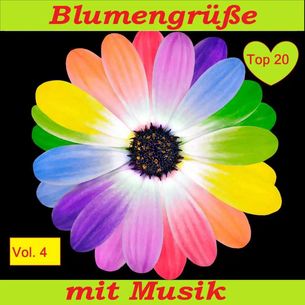 Ich schenk' dir dunkle Rosen