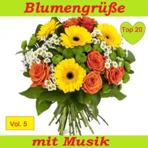 Top 20: Blumengrüße mit Musik, Vol. 5
