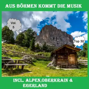 Top 30: Aus Böhmen kommt die Musik, Vol. 5 - Inkl. Alpen, Oberkrain & Egerland