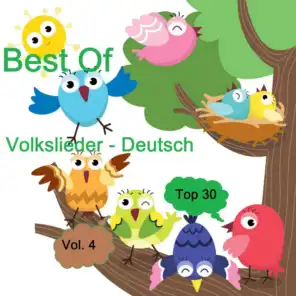 Top 30: Best Of Volkslieder - Deutsch, Vol. 4