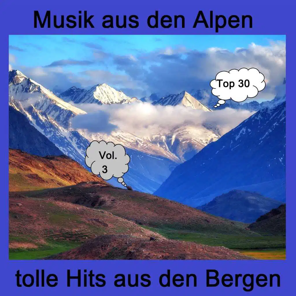 Top 30: Musik aus den Alpen - Tolle Hits aus den Bergen, Vol. 3
