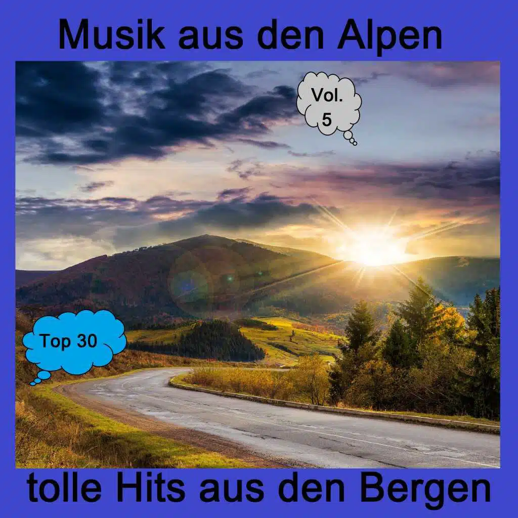 Die fröhlichen Blasmusikanten