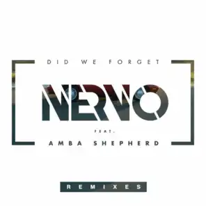 Did We Forget (Remixes)