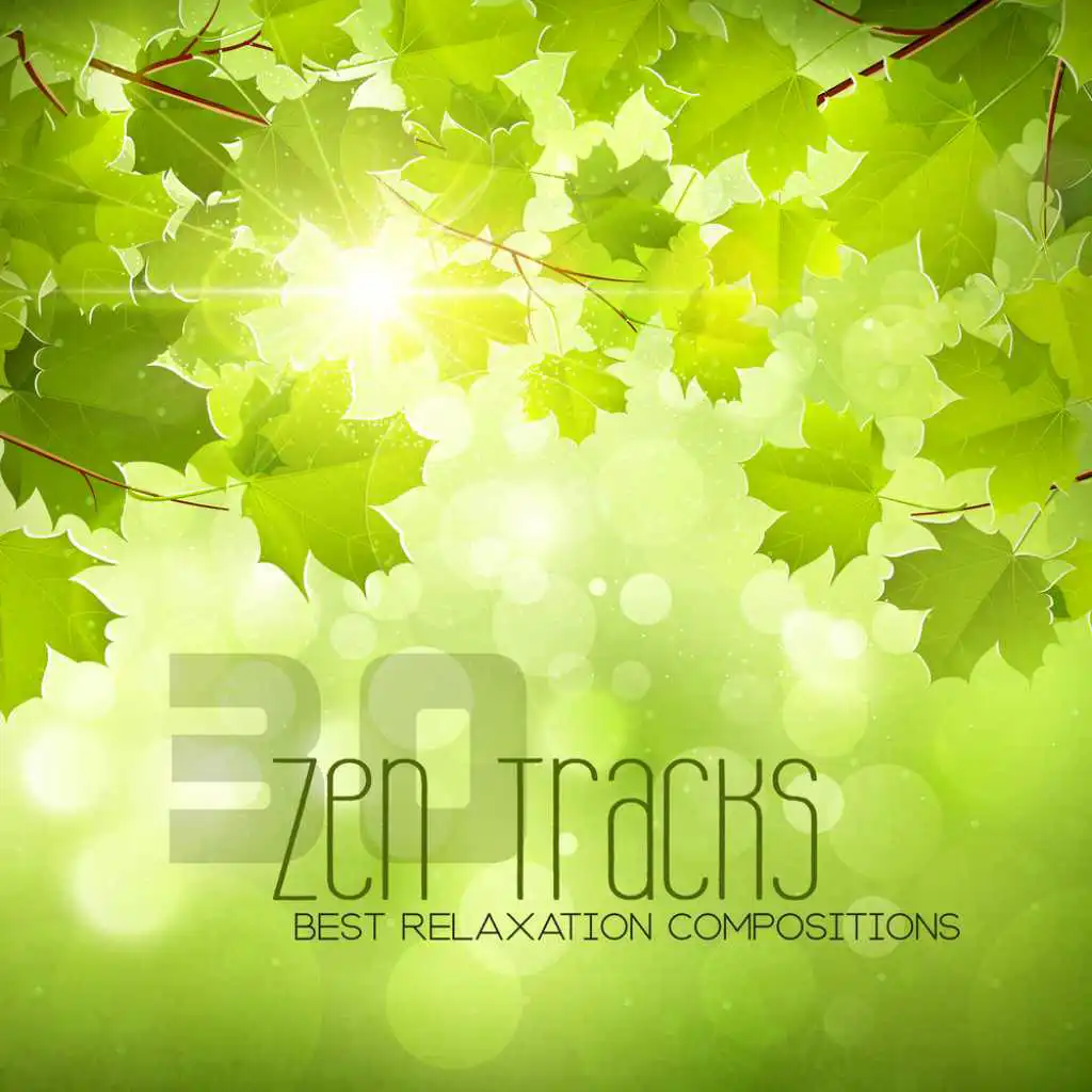 30 Zen Tracks