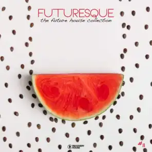 Futuresque - The Future House Collection, Vol. 11
