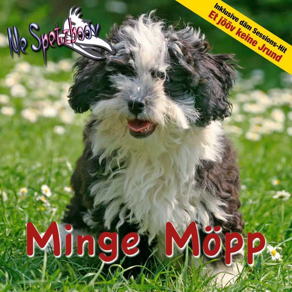 Minge Möpp (Inklusive däm Sessions-Hit "Et jööv keine Jrund")