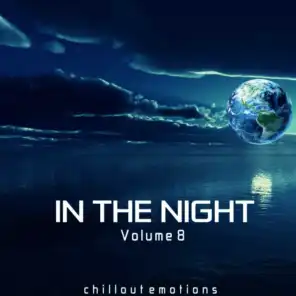 In the Night, Vol. 8 (Chillout Emotions)