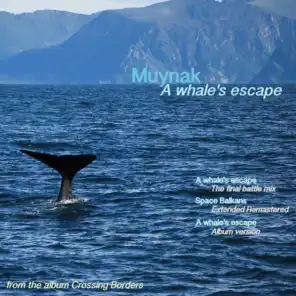 A Whale's Escape