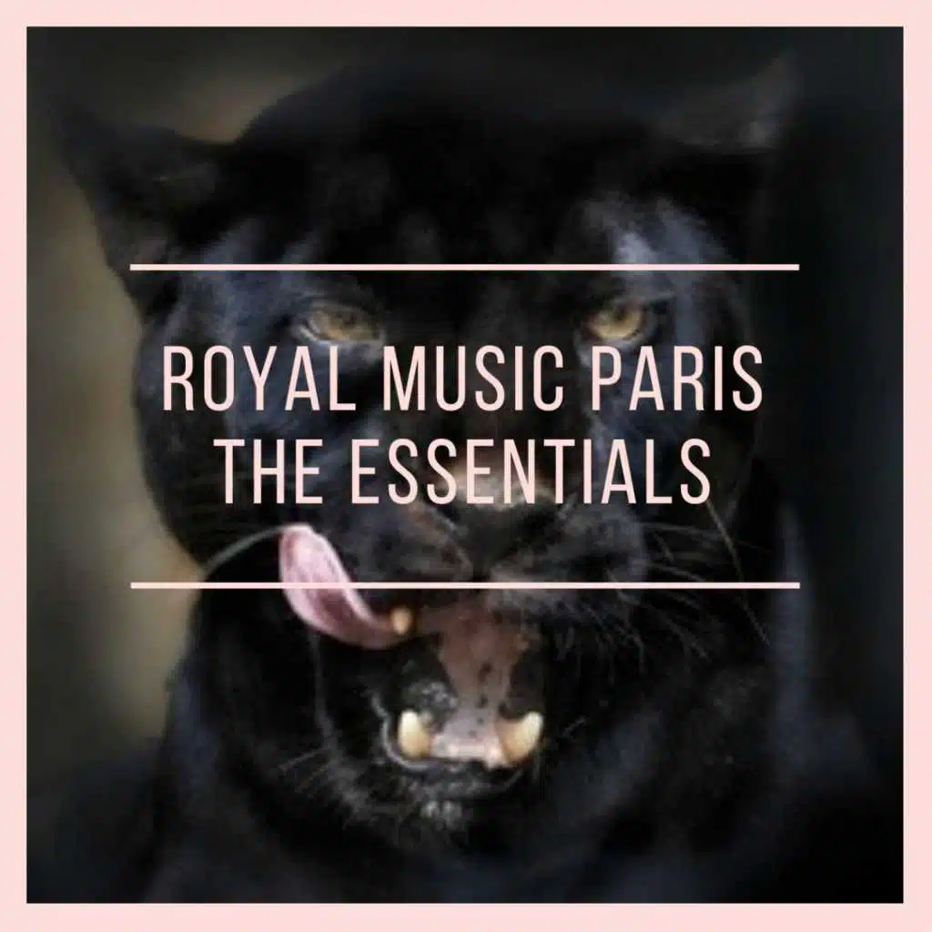 The Essentials - Continues
