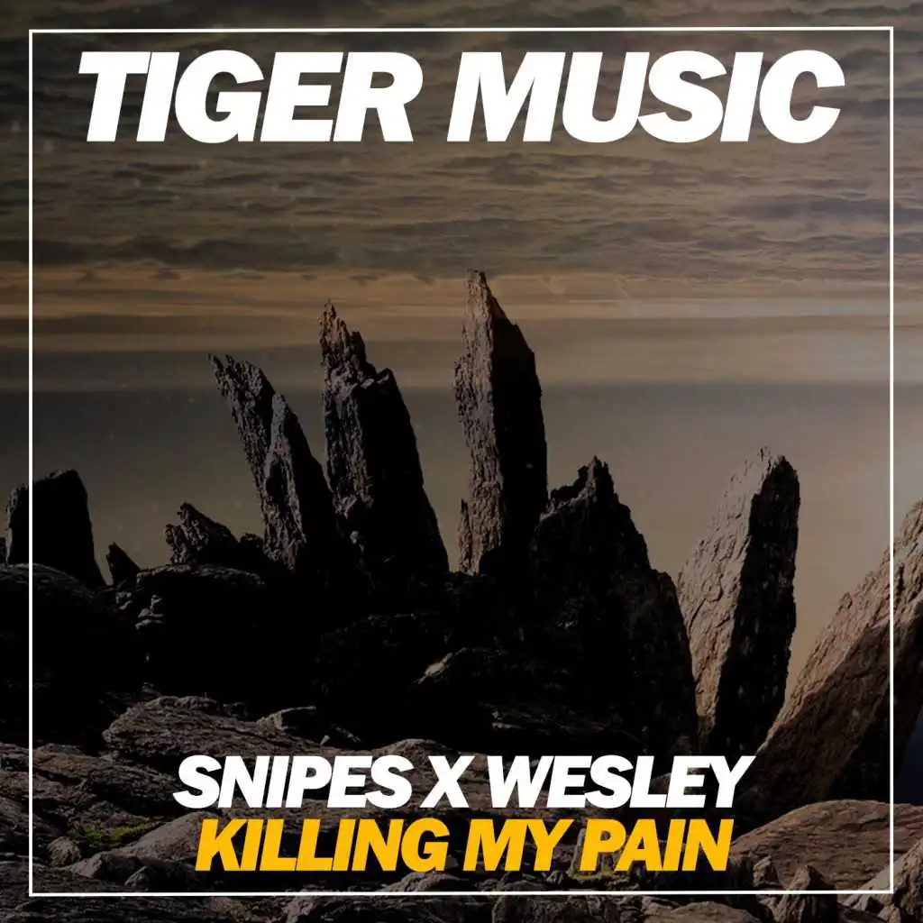 Killing My Pain (Dub Mix)