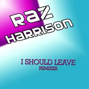 I Should Leave - Remixes