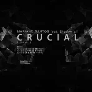 Crucial  (feat. Shadowfall) (Jonnas B Remix)