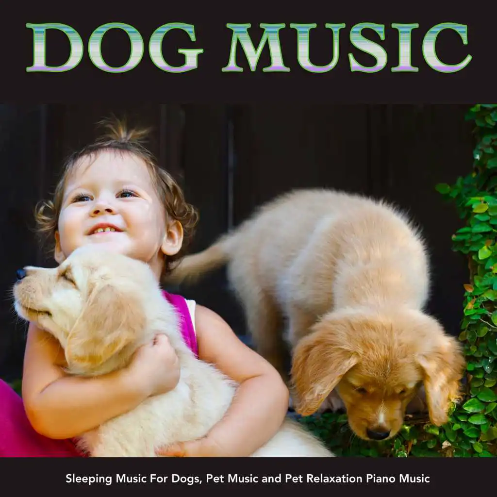 Dog Music, Music For Dogs, Dog Music Experience
