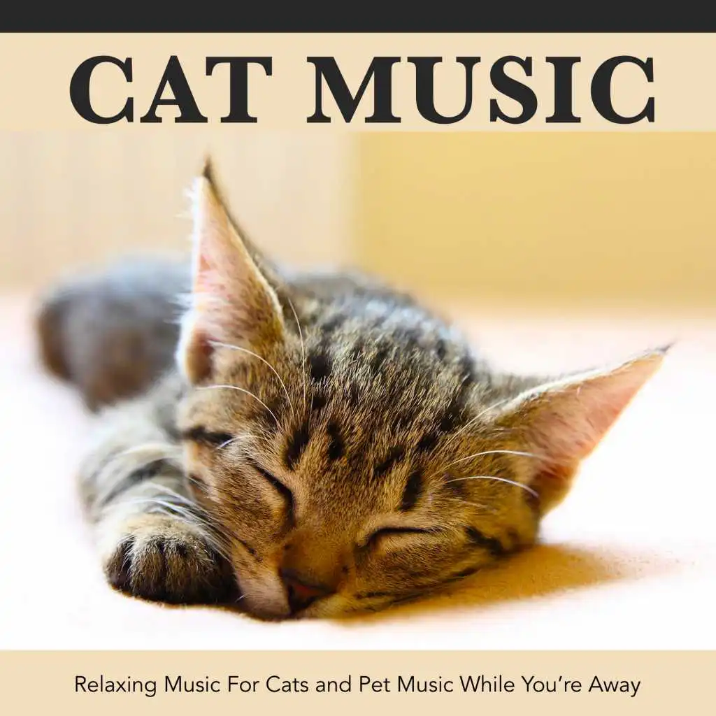 Music For Cats While You're Away