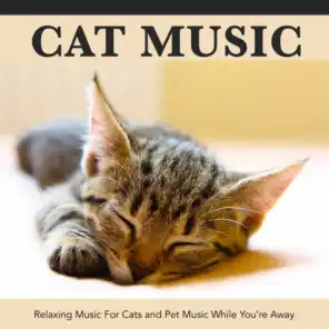 Cat Music: Relaxing Music For Cats and Pet Music While You’re Away