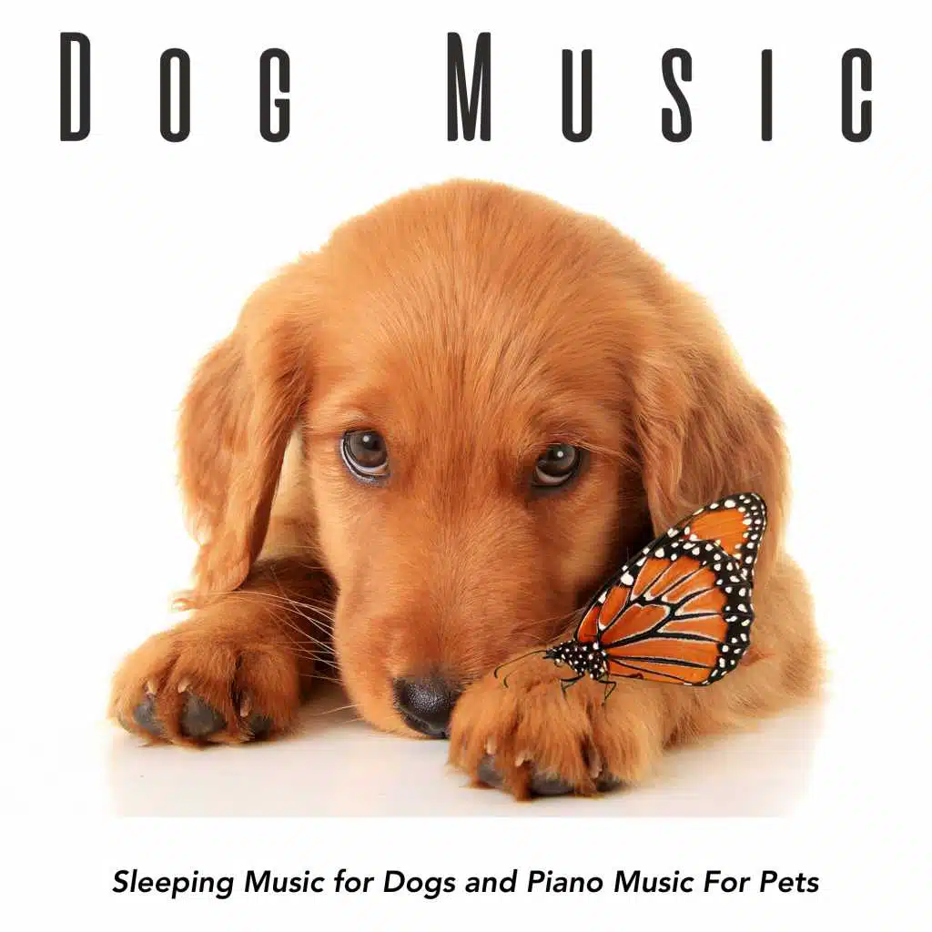 Dog Music