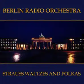 Strauss: Waltzes And Polkas