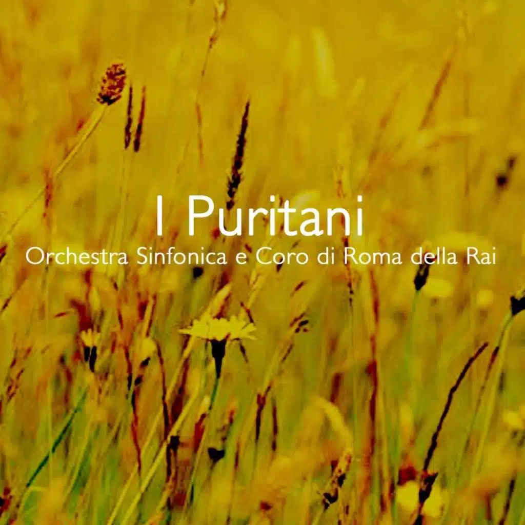 I Puritani, Act 2: "Vien, diletto, e in ciel la luna"