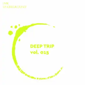 Deep Trip Vol.XV