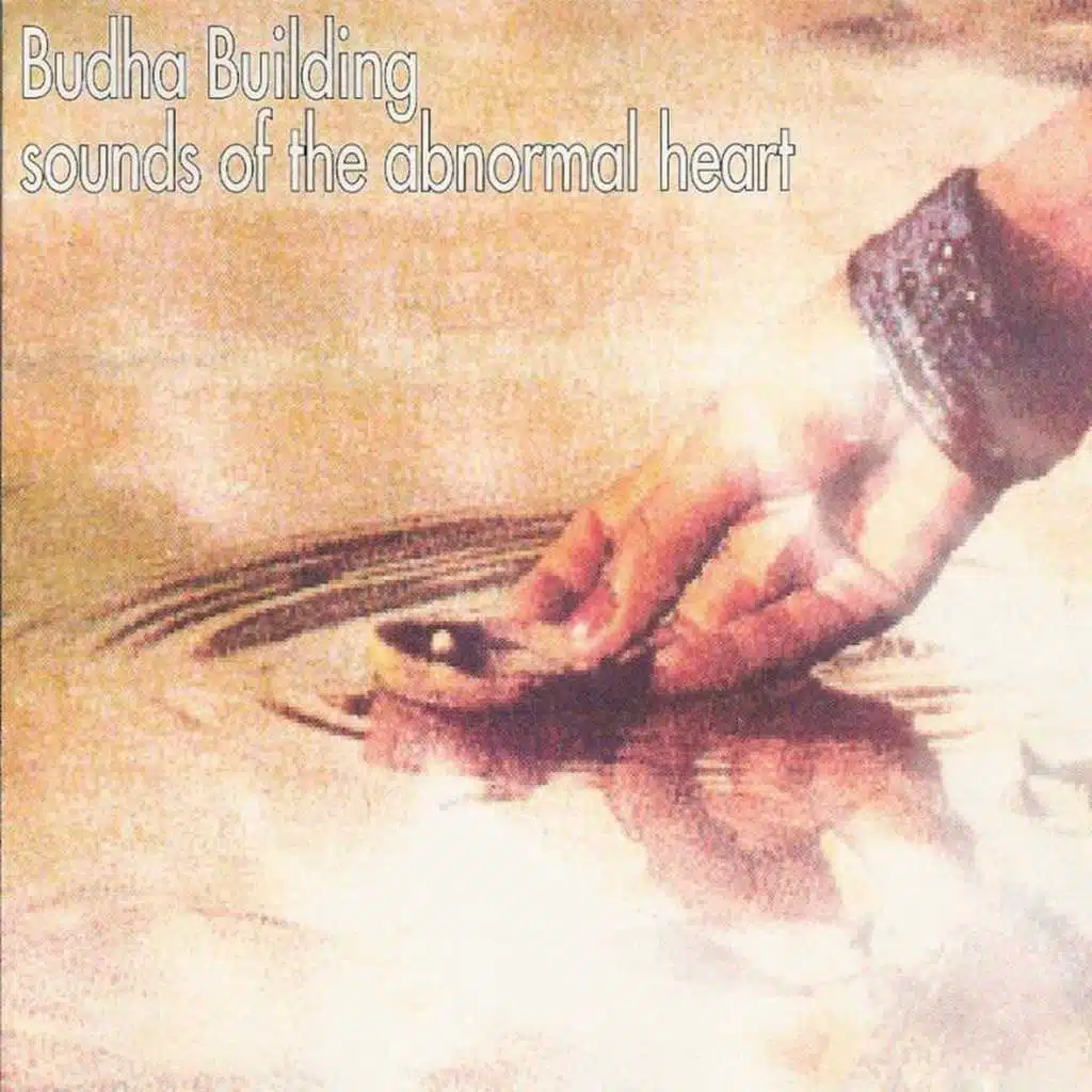 Sounds of the Abnormal Heart