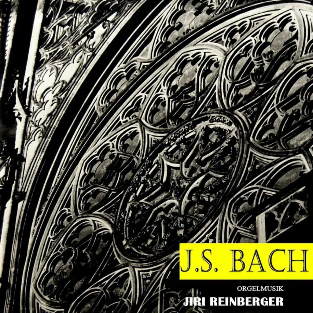 J.S. Bach: Recital