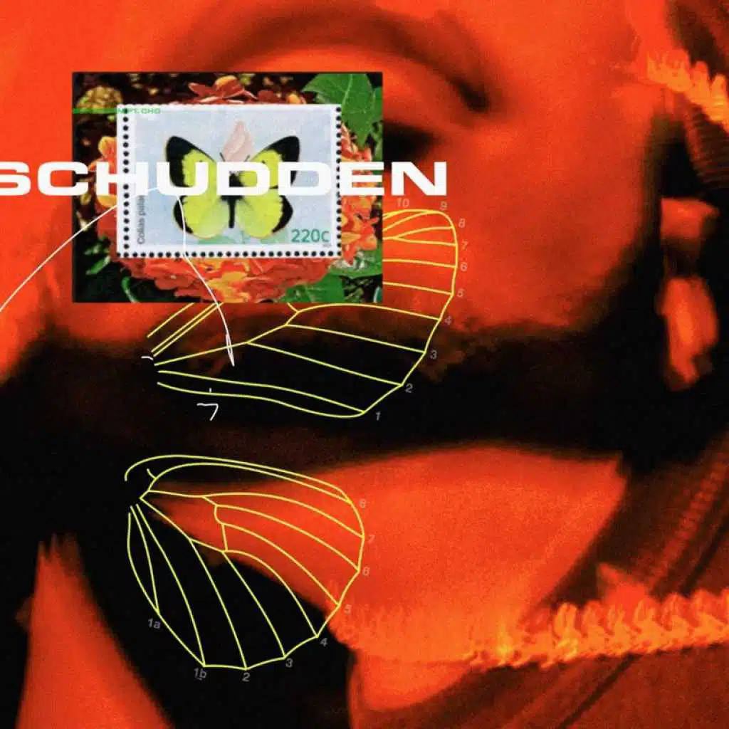 Schudden (Instrumental) [feat. Cho]