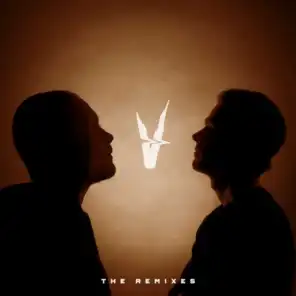 V (The Remixes)