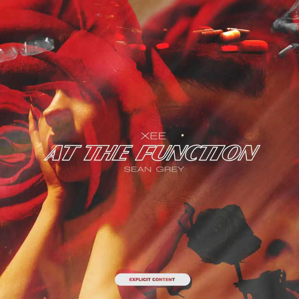 At the Function (feat. Sean Grey)