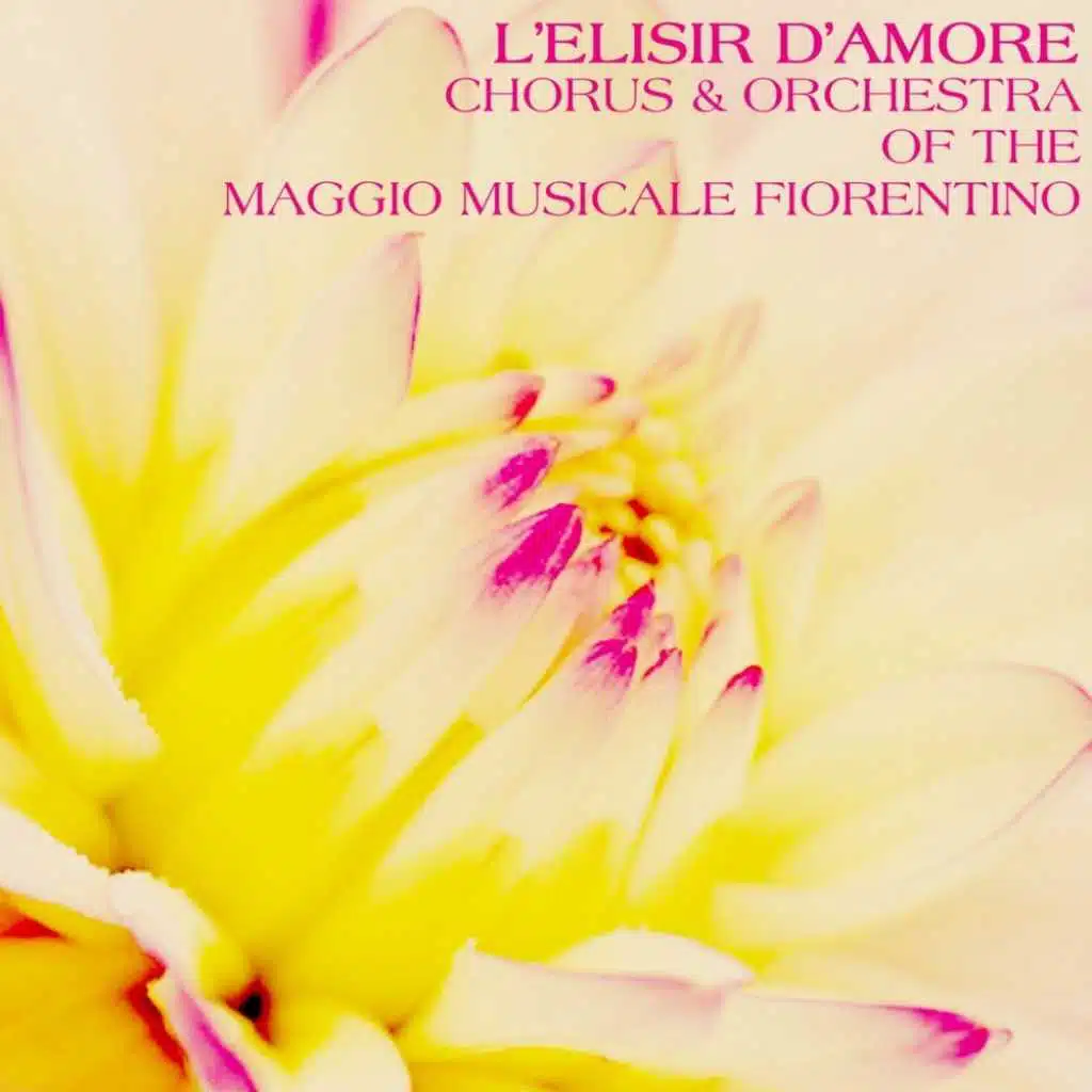 L'Elisir D'Amore