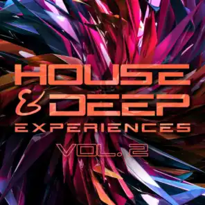 House & Deep Experiences, Vol. 2
