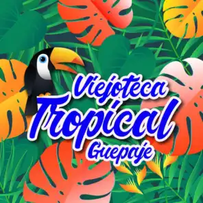 Viejoteca Tropical / Guepaje