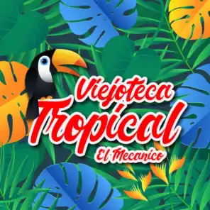 Viejoteca Tropical / El Mecánico